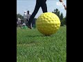 Gwiazdy i wielkie emocje na Kalinowych Polach 🏌️♂️