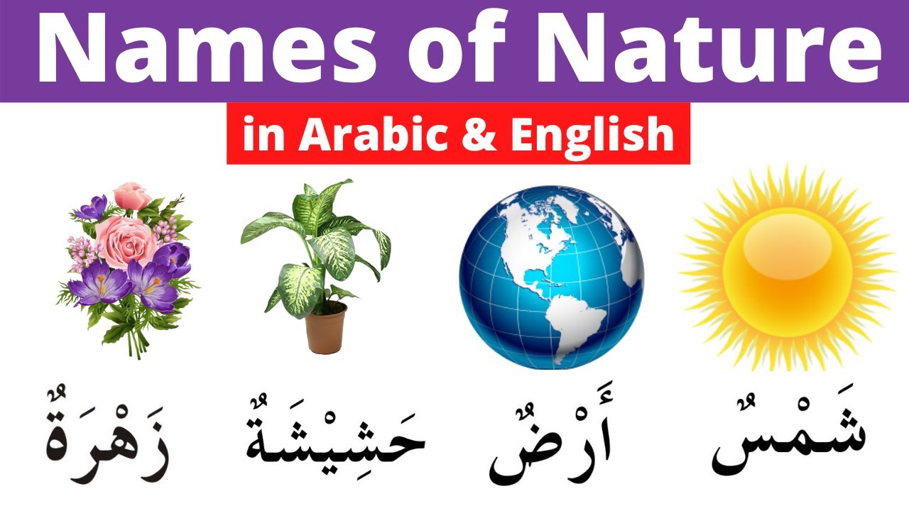 essay about nature in arabic