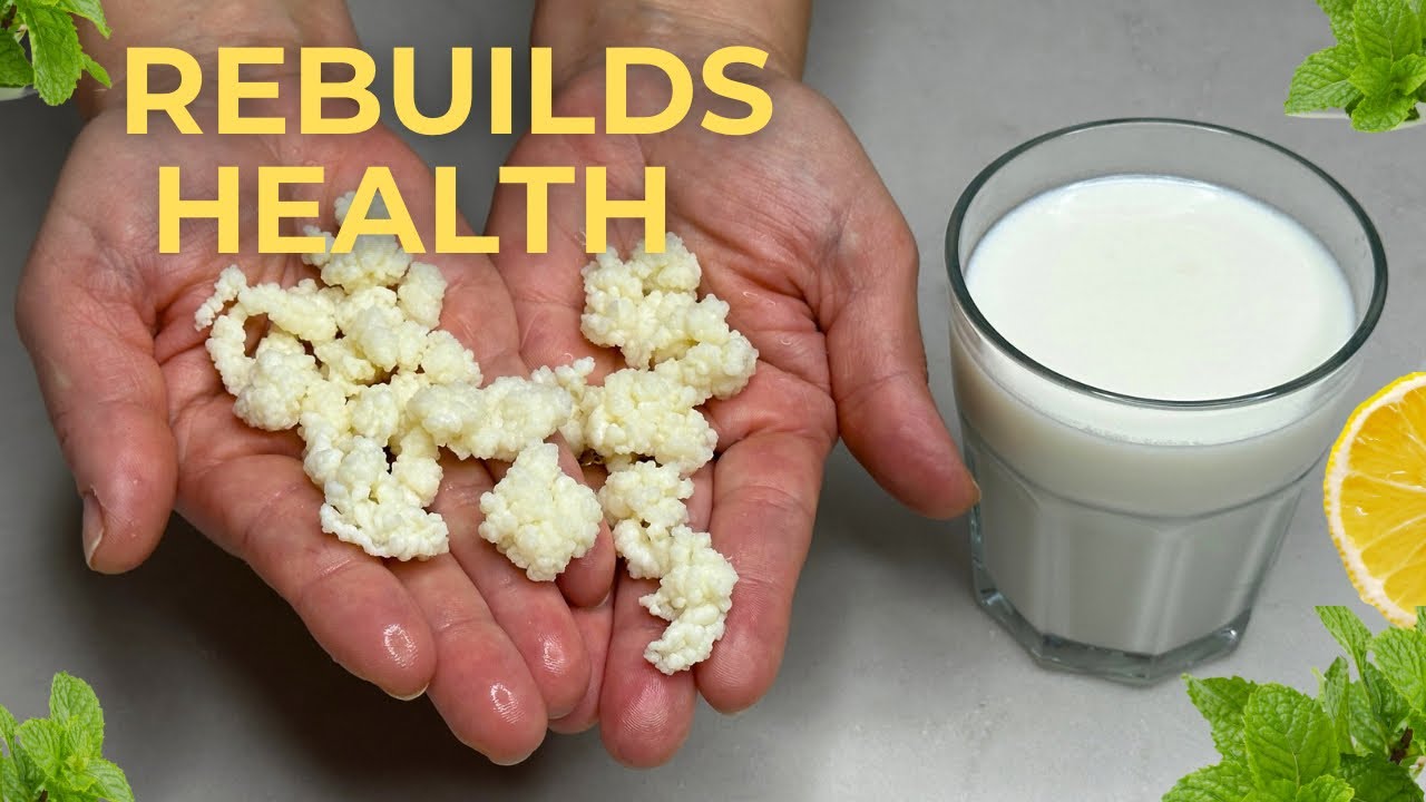 Tibetan Kefir Mushroom Grains Probiotic Healthy Natural Diet