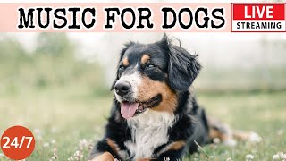 [LIVE] Dog MusicRelaxation Music to Calm Your DogSeparation Anxiety Relief MusicDog Sleep11