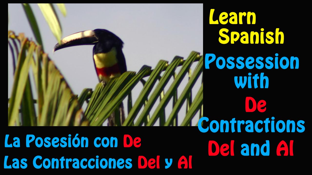 learn-spanish-possession-with-de-and-contractions-del-and-al-youtube