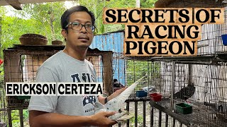 SECRETS OF RACING PIGEON “ERICKSON CERTEZA” VETERAN FANCIER