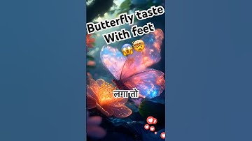 #beautiful butterfly facts🤫🥰 #shorts #ytshorts #youtubeshorts #facts #animalfacts #viralfacts