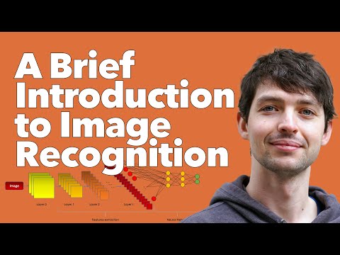 An Intro to Image Recognition And How It Works
