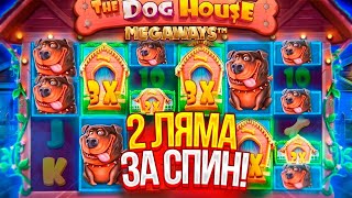 : 3  !!!!!!!!!   THE DOG HOUSE MEGAWAYS