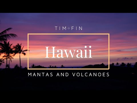 DIVING WITH MANTA RAYS IN HAWAII [Hawaii Big Island Vlog]