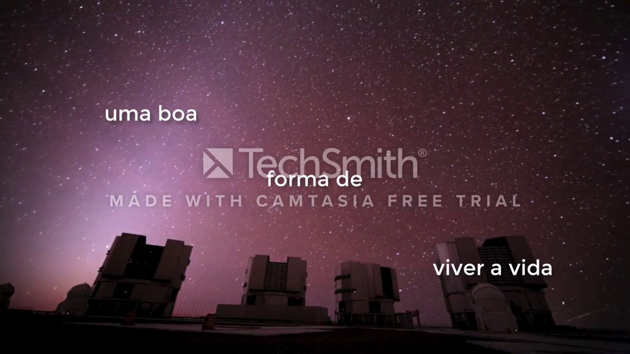 Sentir a Vida