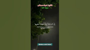 ما تيسر من سورة طه ، القارئ شريف مصطفى ، تلاوة رائعة