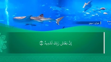 تحسين ابراهيم دوسكي - تەفسیرا سورة البروج