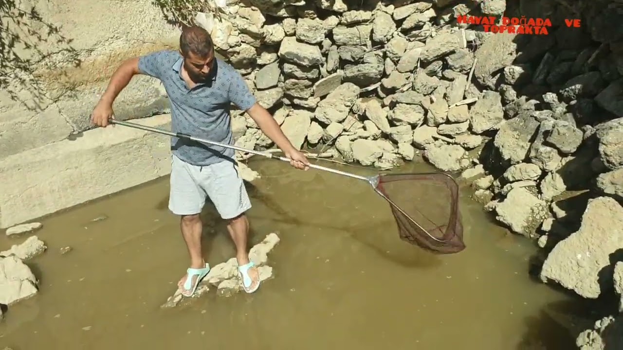 Kepçeyle Balık Avı ( 2 Kova dolusu balık yakaladık )