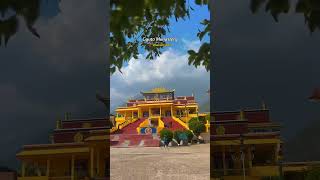Gyuto Monastery Dharamshala 🏔️ | Peaceful Tibetan Monastery | Himachal Pradesh #shorts #Dharamshala