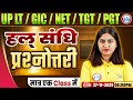 UP LT Grade/GIC/NET Sanskrit Class 2025 | हल् संधि | UP TGT/PGT Sanskrit MCQs
