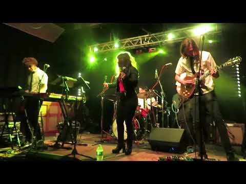 "Nicotine and Gravy": Mammal Dap and Shira of Turkuaz do Beck, 02.15.18