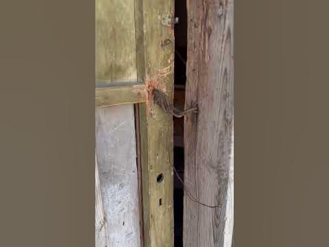 жуткий дом 2 часть - YouTube