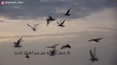 الشيخ محمد مختار الشنقيطي لكل مهموم ومكروب مادمت تقرأ الأذكار فأبشر بكل خير
