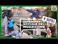 Esperimento Sociale a Napoli: Butti la Sigaretta a Terra? Ti Butto la Spazzatura Addosso - theShow