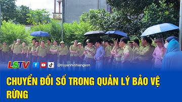 Chuyển đổi số trong quản lý bảo vệ rừng | LSTV