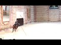 Caballerizas Reales de Córdoba