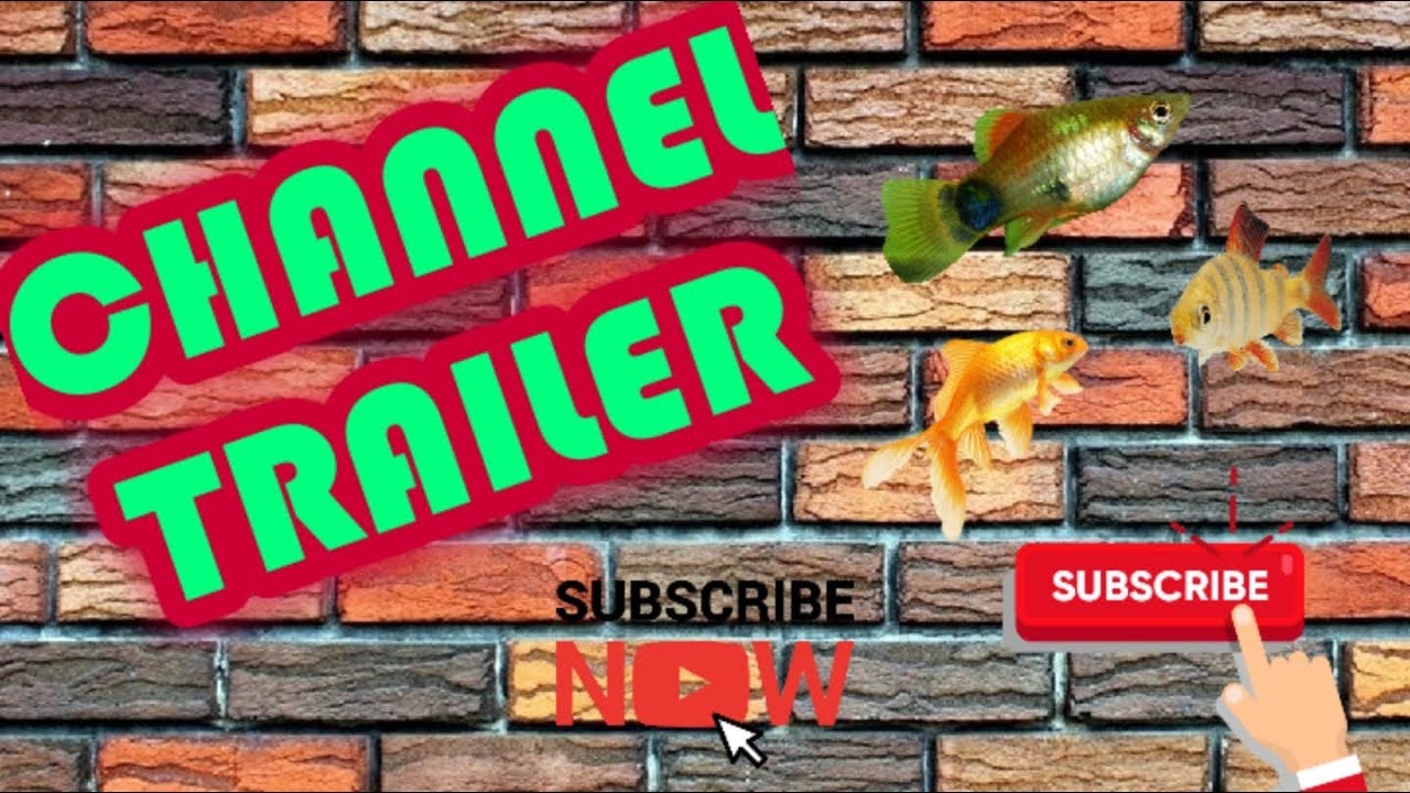 camera iphone 8 plus apk Channel Trailer 2