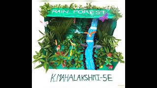 Rainforest 3D project by Maha🌴🌲🏞️🦜🐦