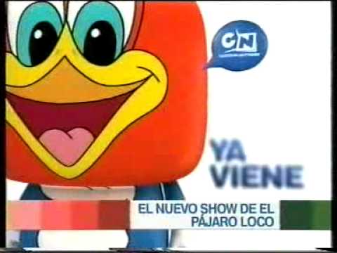 Átomo Network 🇲🇽 on X: #AniversarioAtómico ¡La versión más moderna del  Pájaro Loco cumple 20 años hoy! Loquillo, Buzz Buzzard, Pablo Morsa, la  Señora Meanie y Chilli Willy están de fiesta. ¿Recuerdas