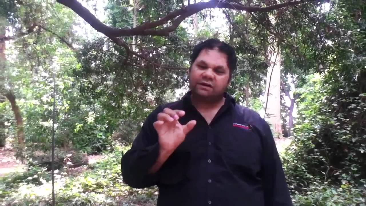 Adelaide Aboriginal Cultural Experience tour with Bookabee, Adelaide, South Australia