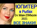 КОМУ ПОВЕЗЕТ?ЮПИТЕР в РЫБАХ с 14 МАЯ - 29 ИЮЛЯ 2021/ ГОРОСКОП на ЛЕТО 2021/OLGA STELLA