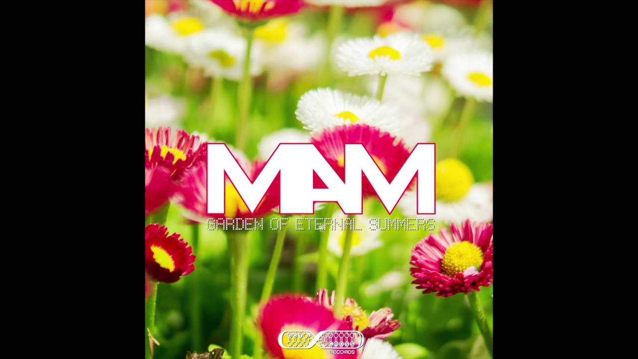 MAM - Vertigo (Original Mix)