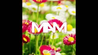 MAM - Vertigo (Original Mix) screenshot 4
