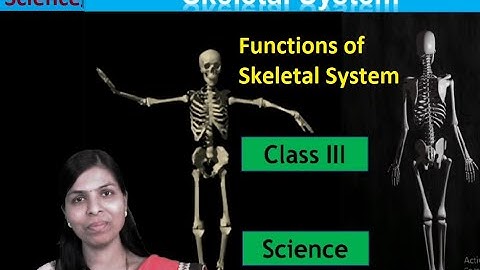 Part II | Functions Of Skeletal System | Class 3 | By Mrs. Deepali Mule