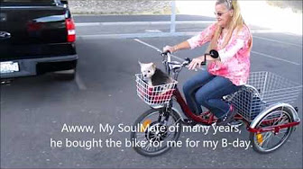 Cozy trike. - YouTube