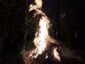 Holika Dahan Ki Hardik Shubhkamnayein ✨ | Holi | #holikadahan #shorts