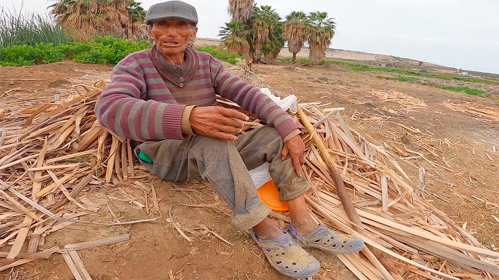 ESTE HOMBRE VIVE TOTALMENTE SOLO CON SUS OVEJAS  - 95 años Tío saturnino