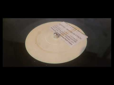 Fortunz — Fortunz - Self-Destruction (Mix 2)