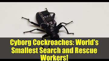 Cyborg Cockroaches: World