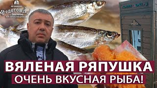 РЯПУШКА. Вяление в коптильне ИП Федотов А. В. с турбосеткой. Весь процесс подробно.