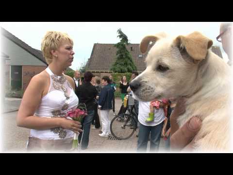 Videoclip Van Edwin Patricia The Wedding