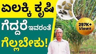 Cardamom Farming in Kannada  How to Start Cardamom Farming? | Abhishek Ramappaa