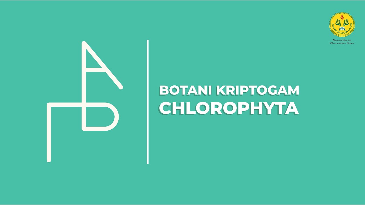 Jelaskan yang dimaksud dengan cabang biologi botani profesi apakah yang cocok dengan cabang biologi 