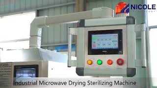Black pepper microwave sterilization dryer