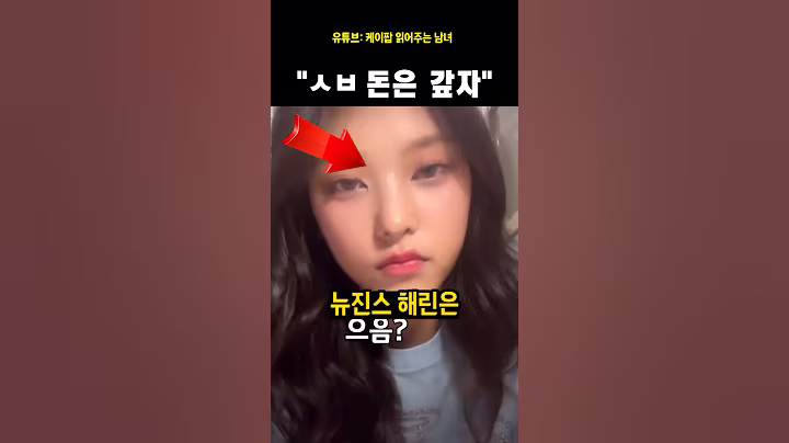 돈 안 갚고 튄 사람 박제(뉴진스 해린)#뉴진스#해린