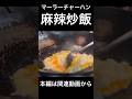 麻辣炒飯（マーラーチャーハン）