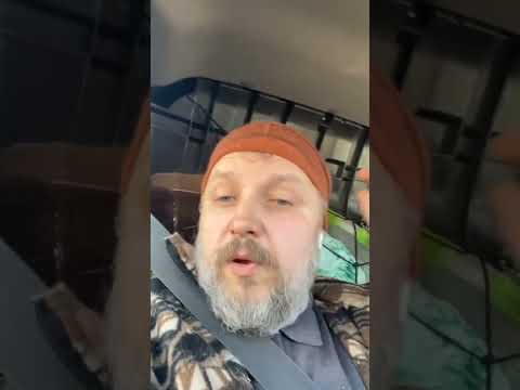 Едем в приют для диких животных 🐻