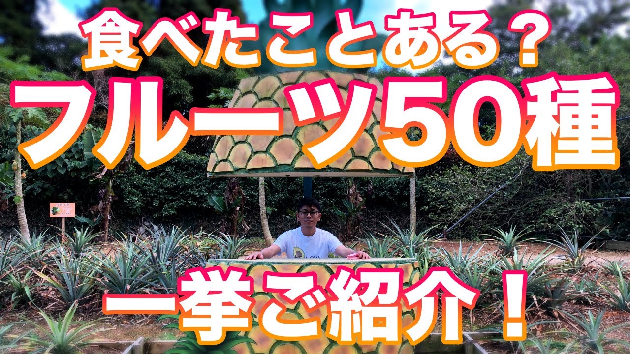 50 kinds of rare fruits in Japan and the world. - YouTube