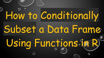 How to Conditionally Subset a Data Frame Using Functions in R