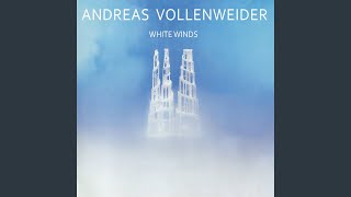 Video thumbnail of "Andreas Vollenweider - Brothership (feat. Walter Keiser, Pedro Haldemann)"