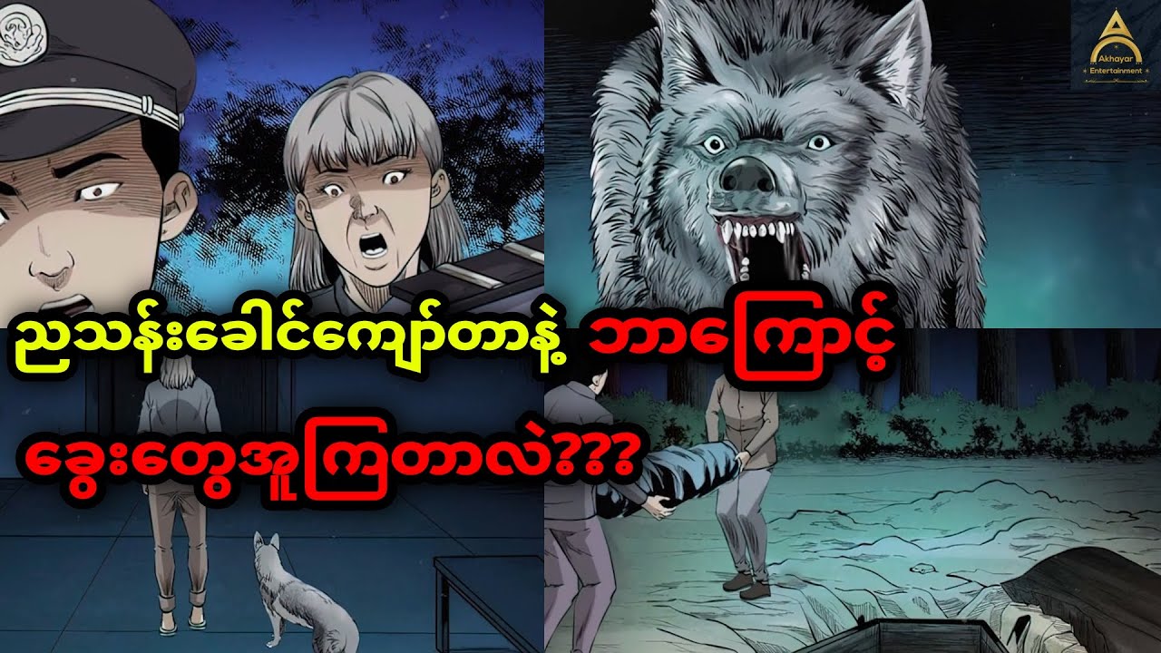 ညသန်းခေါင်ကျော်ကြီး ခွေးအူသည့် အကြောင်းအရင်း...