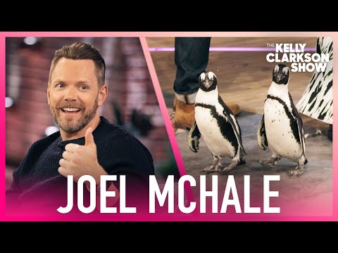 Joel McHale Brings Penguins To The Kelly Clarkson Show