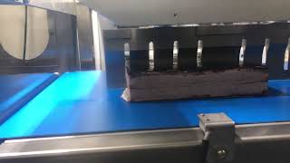 Inline-UFM8000 Ultrasonic Cake Cutting Machine Cheersonic