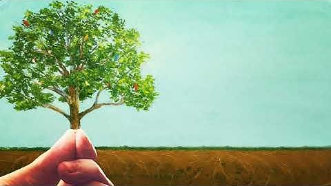 Số 63: NIỀM TIN THIÊN CHÚA ĐÃ ĐƯỢC GIEO SẴN NƠI LÒNG CON NGƯỜI - Lm. F.X Trần Quảng, CSsR.,